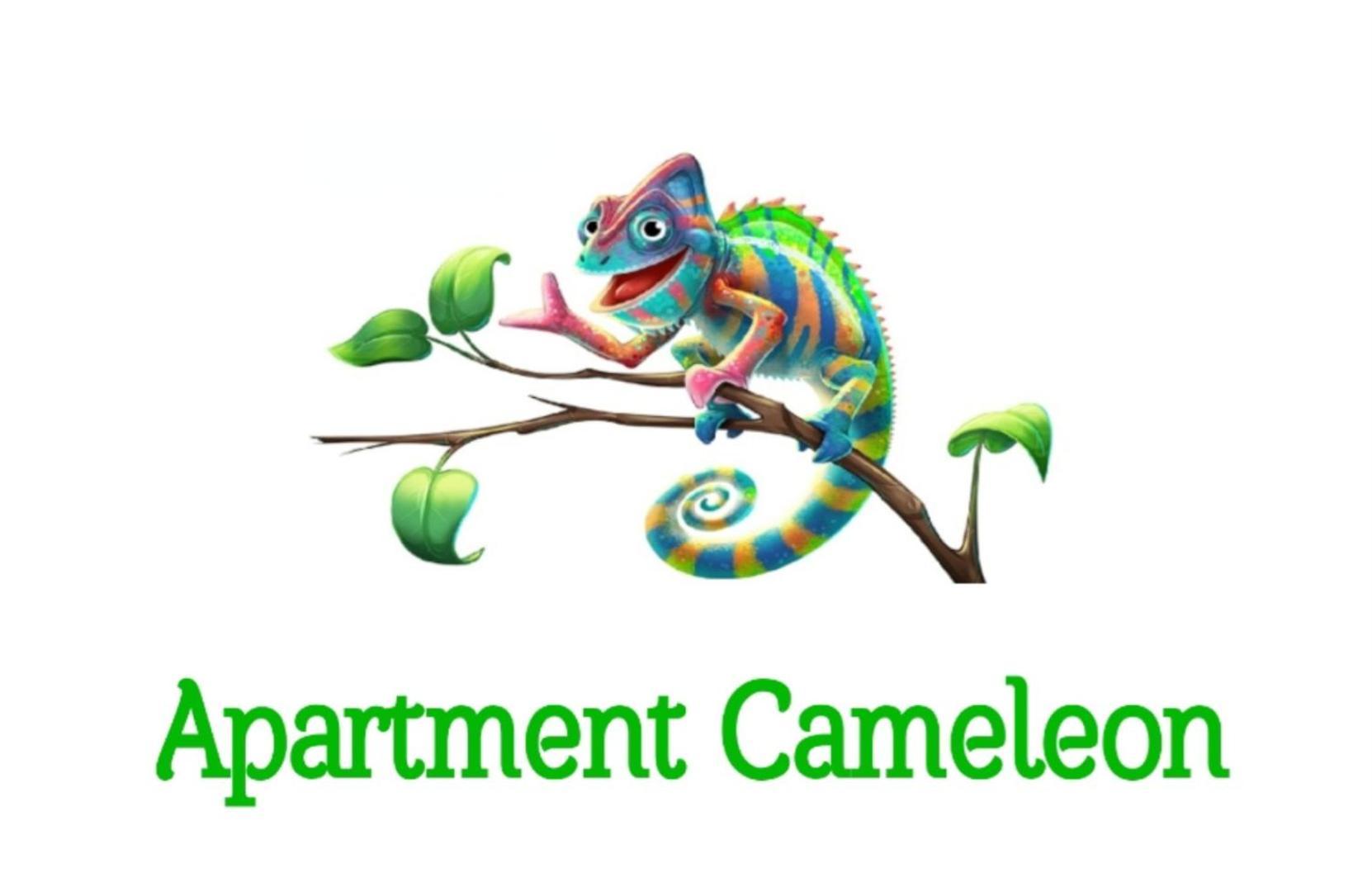 Apartment Cameleon Dubrovnik Bagian luar foto